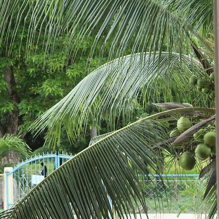 Maya Guest House - Sipaway Island San Carlos  Buitenkant foto