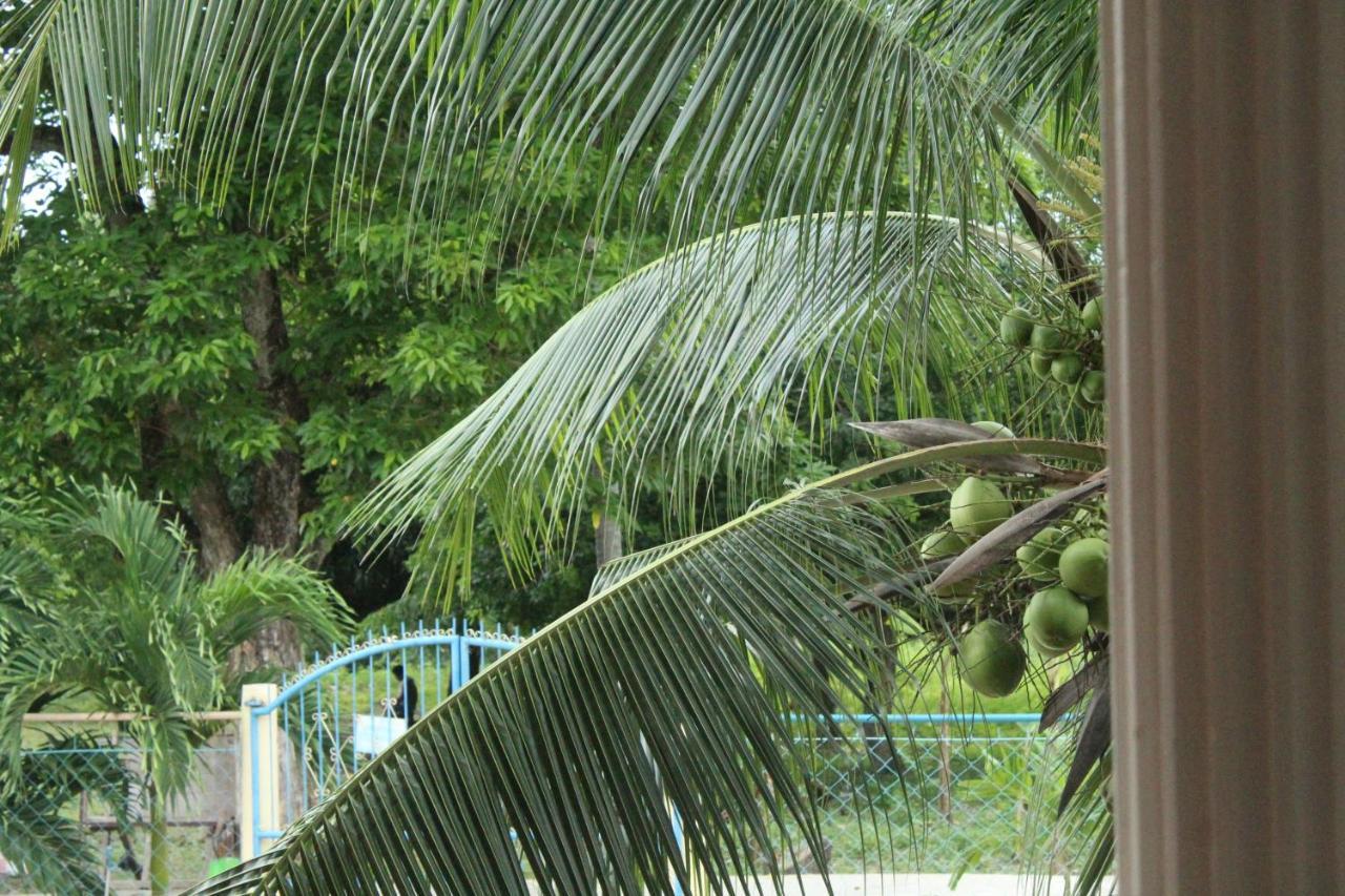Maya Guest House - Sipaway Island San Carlos  Buitenkant foto